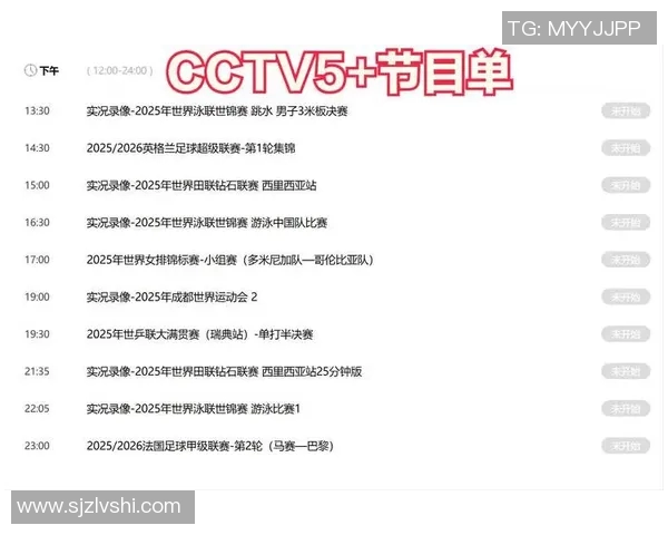 CCTV体育赛事直播:技术保障、互动体验、专业解说与文化传播解析
